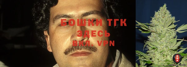 МДПВ Абаза