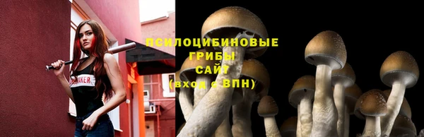 МДПВ Абаза