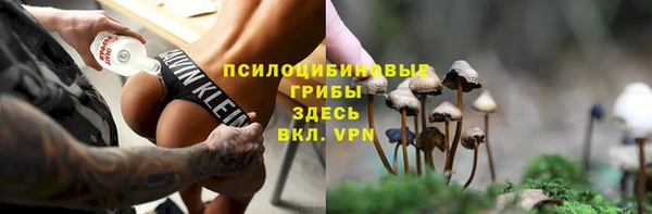 МДПВ Абаза