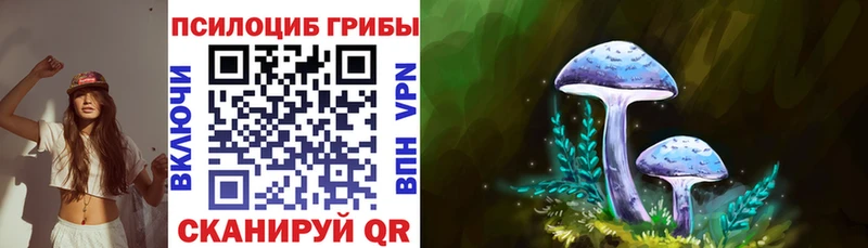 Псилоцибиновые грибы прущие грибы  даркнет наркотические препараты  Гаджиево  продажа наркотиков 